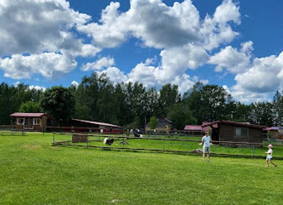 latvia/zemgale/attraction/dobuli-mini-zoo