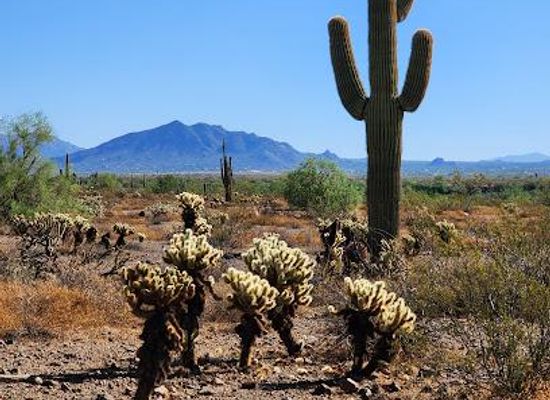 arizona/phoenix/attraction/sonoran-preserve-desert-vista-trailhead