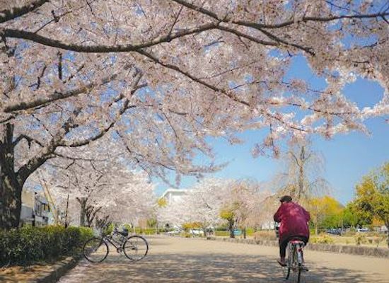 japan/harima/attraction/karoyashikiato-park