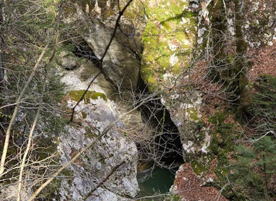 slovenia/bohinj/attraction/jereska-korita