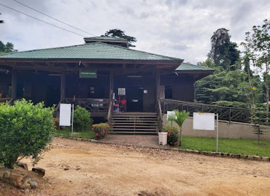 ghana/yendi/attraction/kakum-national-park