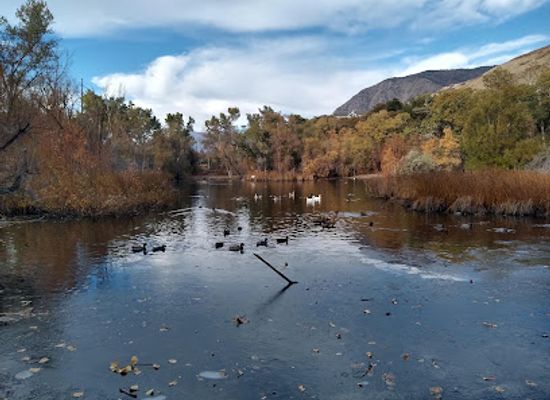 utah/ogden/attraction/beus-pond-park