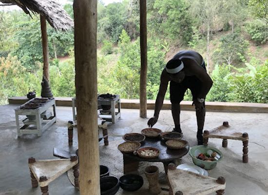 tanzania/zanzibar-archipelago/attraction/kidichi-butterfly-spice-farm