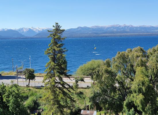 argentina/nahuel-huapi-national-park/attraction/bariloche-paleontological-museum