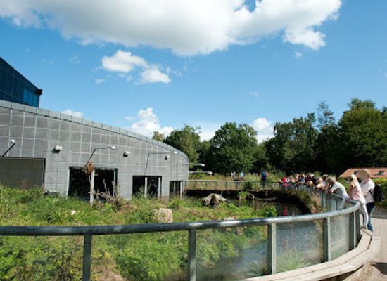 denmark/mols-bjerge-national-park/attraction/aqua-aquarium-wildlife-park
