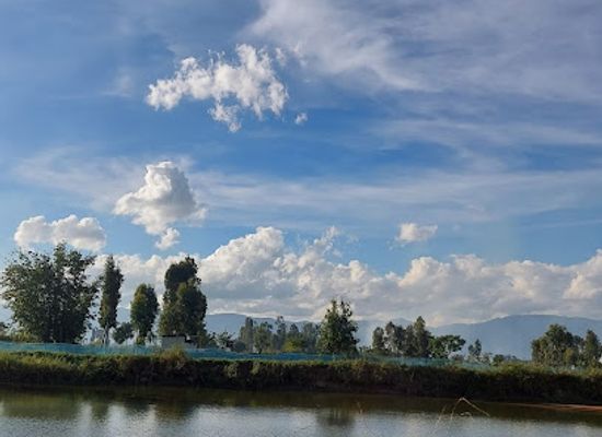 india/imphal/attraction/nature-healers