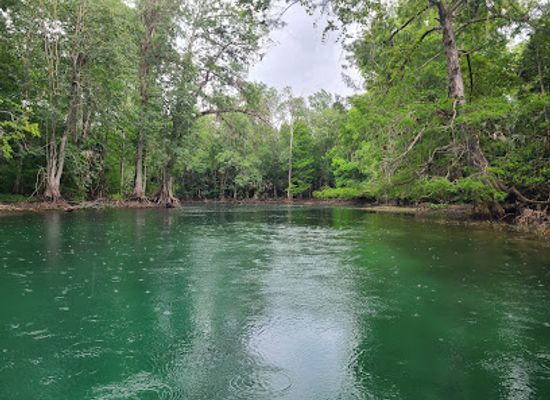 florida/juniper-springs-recreation-area/attraction/ray-wayside-park