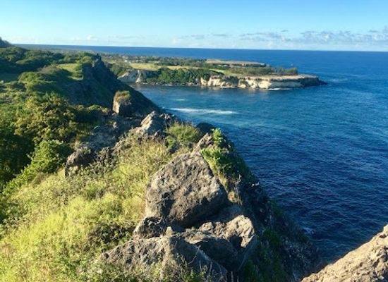 barbados/saint-peter/attraction/pico-teneriffe