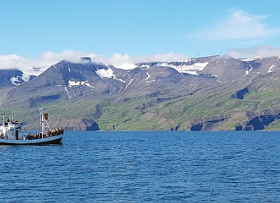iceland/northeastern-region/attraction/north-sailing-husavik-whale-watching