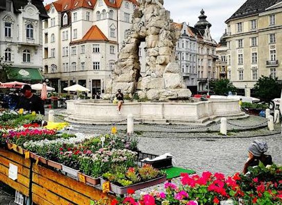 czechia/palava/attraction/zelny-trh