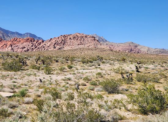nevada/red-rock-canyon-national-conservation-area/attraction/red-rock-canyon