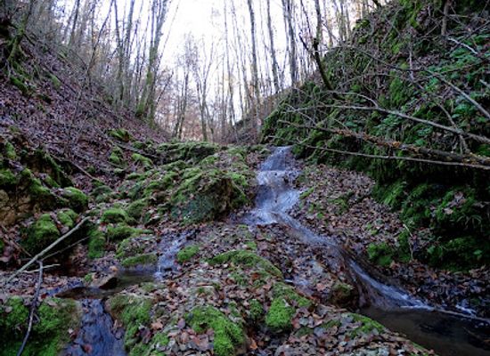 romania/bihor/attraction/sura-usorilor