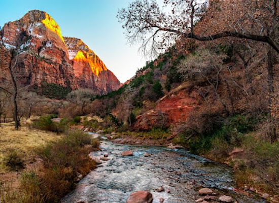 utah/zion-national-park/attraction/the-grotto-picnic-area
