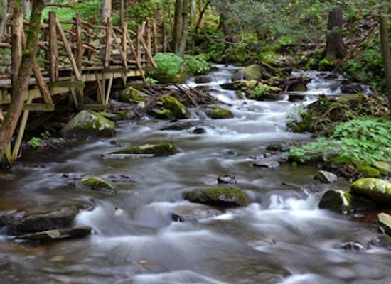 pennsylvania/lower-susquehanna-valley/attraction/bushkill-falls