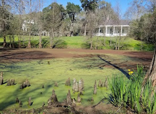 louisiana/false-river/attraction/rosedown-plantation-state-historic-site