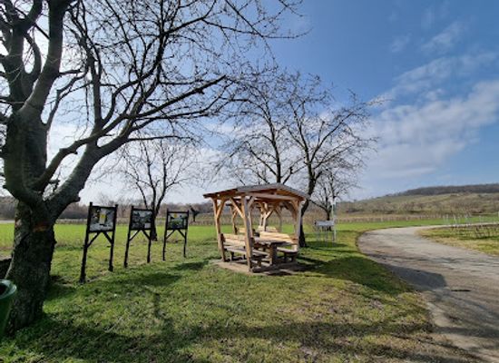 austria/neusiedler-see/attraction/thenau-nature-reserve