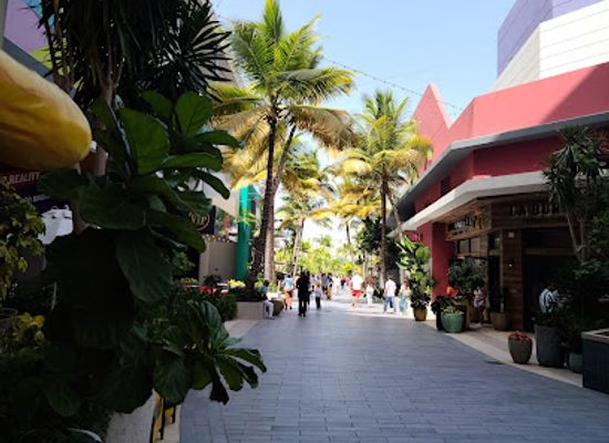 puerto-rico/san-juan/attraction/toro-verde-urban-park