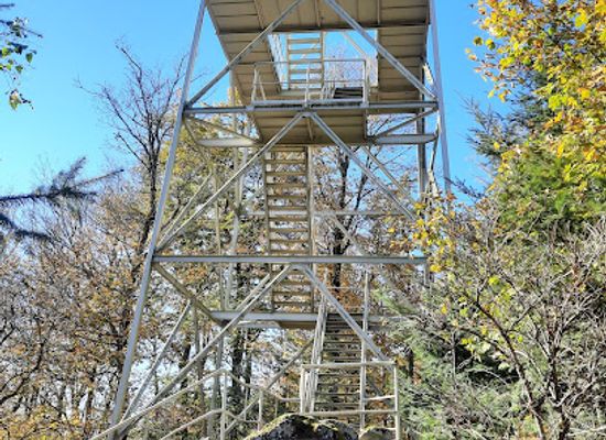 germany/palatinate/attraction/selbergturm