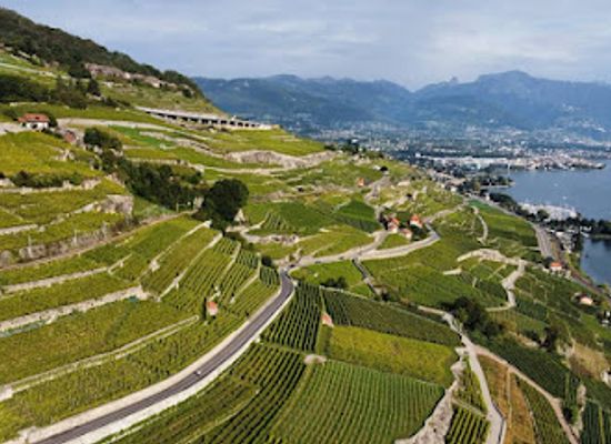 switzerland/lake-geneva-region/attraction/grand-tour-of-switzerland-lavaux