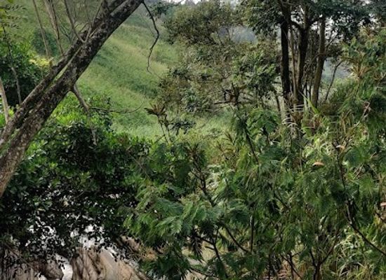 sri-lanka/kandy-district/attraction/nagasthenna-waterfall