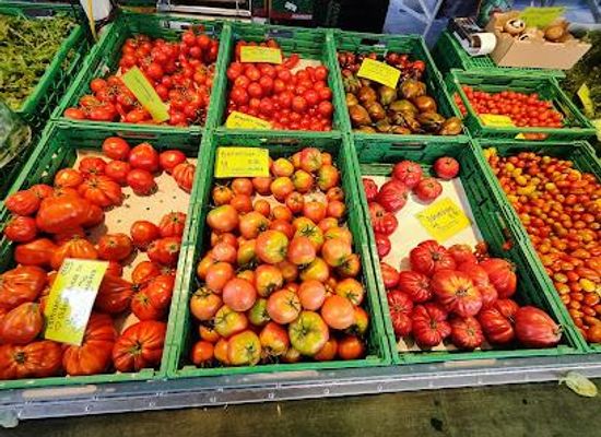 switzerland/swiss-plateau/attraction/marktplatz-solothurn