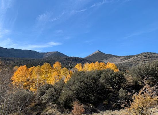 nevada/great-basin-national-park/attraction/serviceberry-trailhead