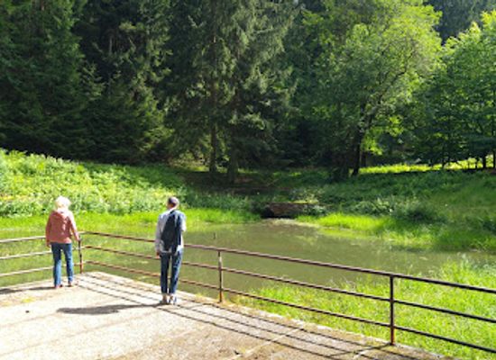 germany/thuringian-forest/attraction/goldfischteich