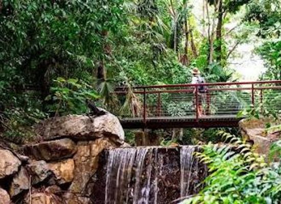australia/darwin/attraction/george-brown-darwin-botanic-gardens