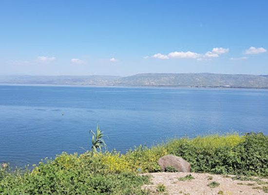 israel/galilee-region/attraction/hamat-tiberias-national-park