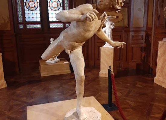 france/languedoc/attraction/le-musee-fayet