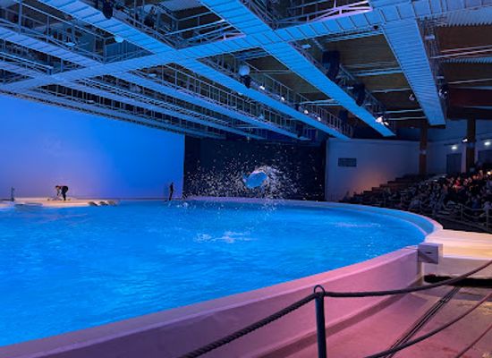 sweden/sodermanland/attraction/delfinarium