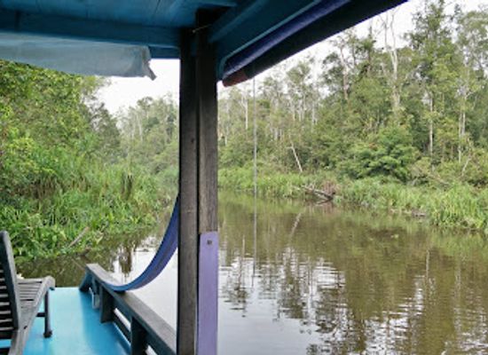 indonesia/tanjung-puting-national-park/attraction/pondok-tanggui