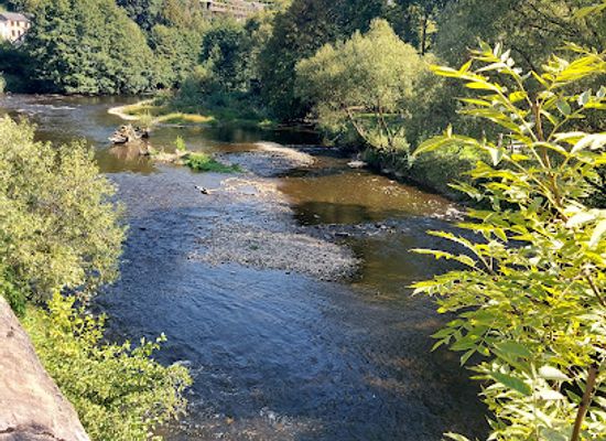 belgium/dyle-valley/attraction/parc-de-la-dyle