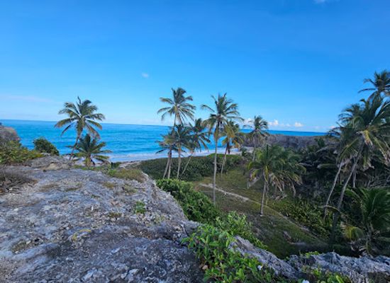 barbados/saint-philip/attraction/peat-bay