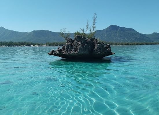 mauritius/tamarin/attraction/speed-boat