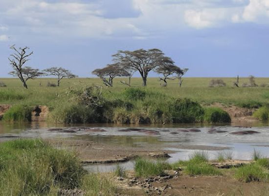 tanzania/singida/attraction/serengeti-national-park