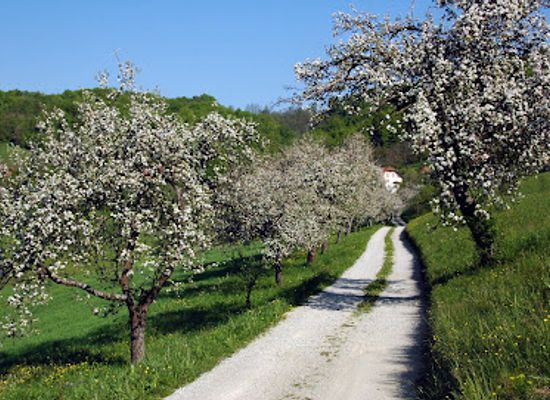 slovenia/zasavje/attraction/kozjanski-park-kozjansko-regional-park