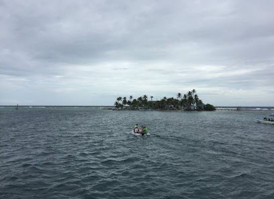 belize/southern-belize-barrier-reef/attraction/carrie-bow-cay-field-station