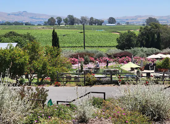 california/wine-country/attraction/bouchaine-vineyards