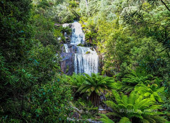 australia/high-country/attraction/fainter-falls
