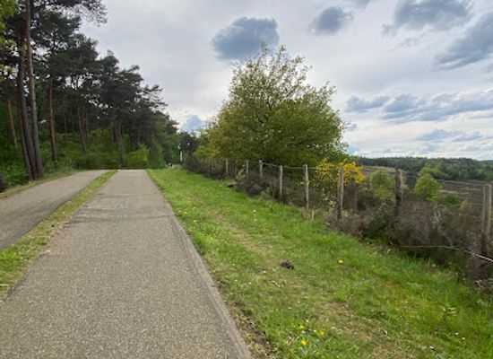 belgium/hoge-kempen-national-park/attraction/duivelsberg