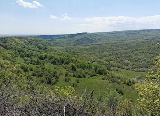 romania/vrancea/attraction/poiana-negari