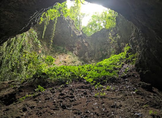 philippines/siquijor/attraction/canghaling-cave