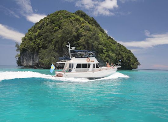 palau/ngeruangel/attraction/neco-marine-palau