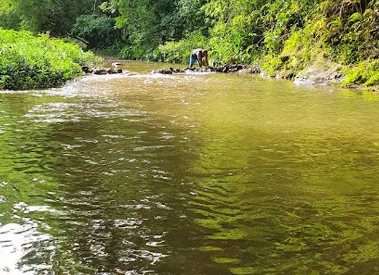 trinidad-and-tobago/caroni/attraction/caura-river-pool-two
