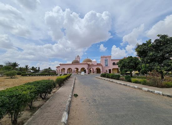 tanzania/dodoma/attraction/gadaffi-mosque