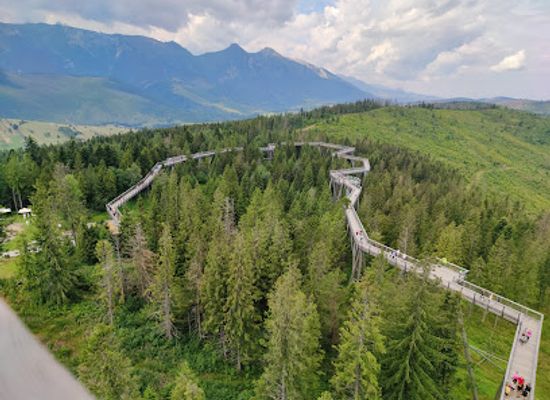 slovakia/tatras/attraction/treetop-walk-bachledka