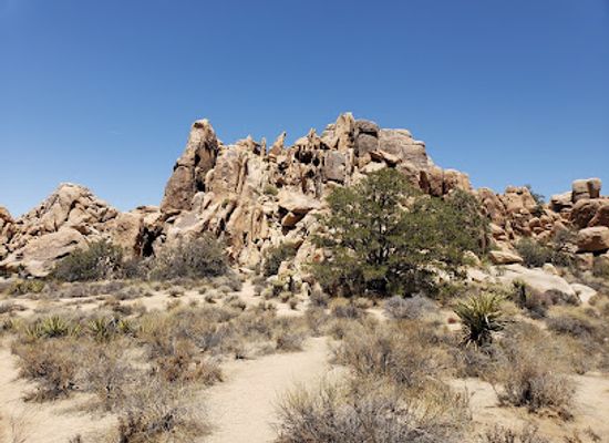 california/joshua-tree/attraction/joshua-tree-adventures
