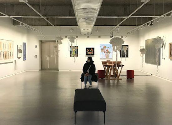 australia/gippsland/attraction/gippsland-art-gallery