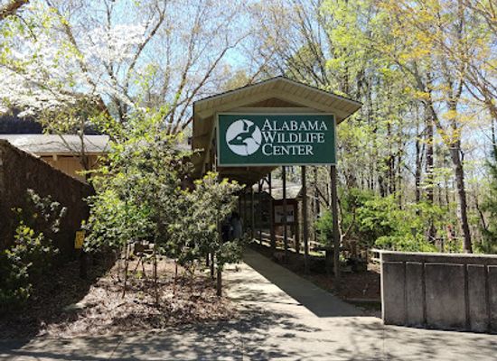 alabama/oak-mountain-state-park/attraction/alabama-wildlife-center